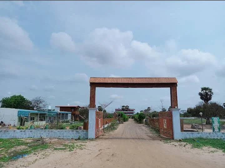 PEARL BEACH RESORTS